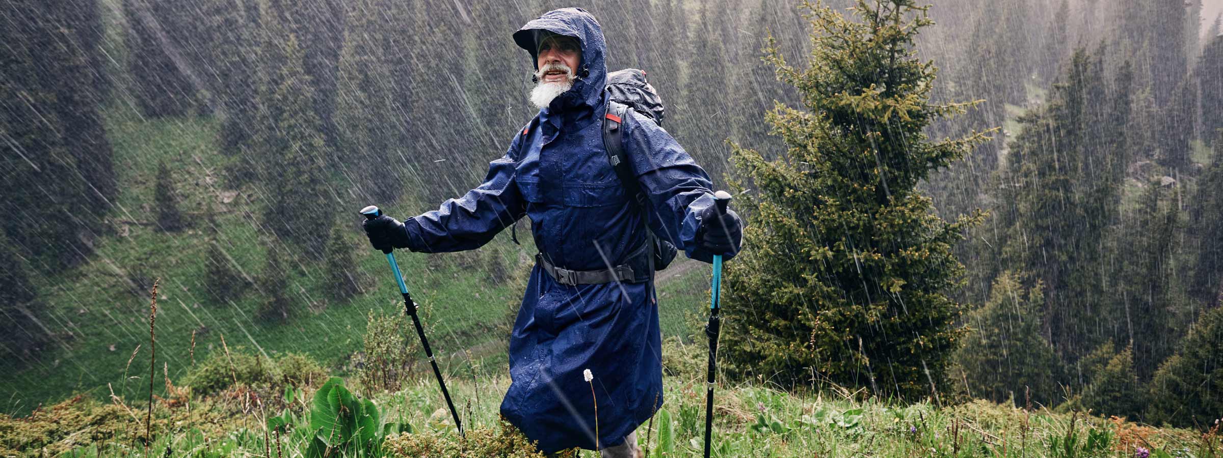 Rainy-Day Hiking Tips: Gear Up, Stay Safe, and Have Fun